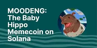 Moo Deng